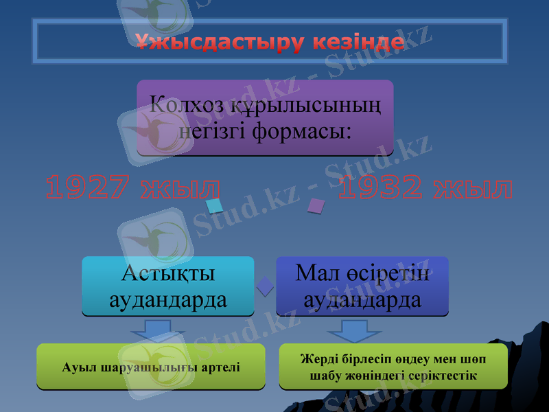 Slide 7