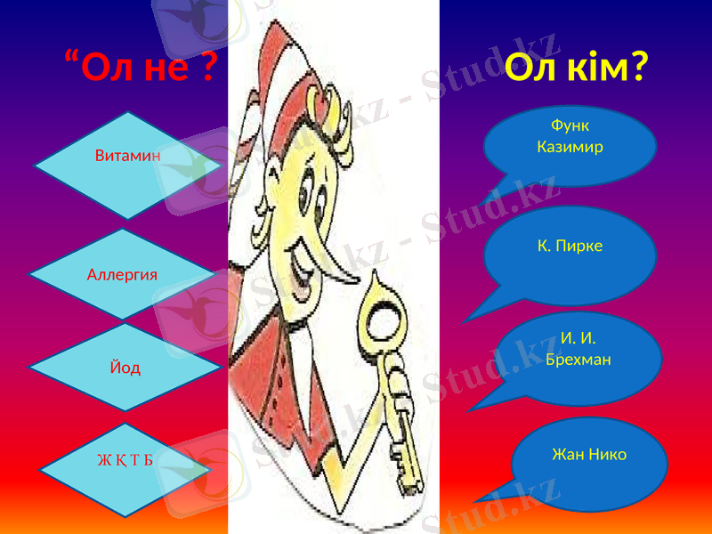 Slide 24