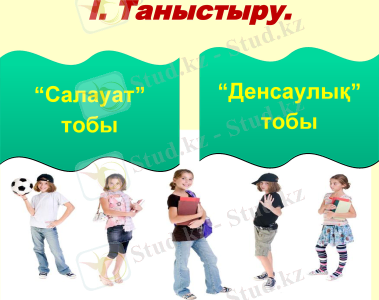 Slide 8