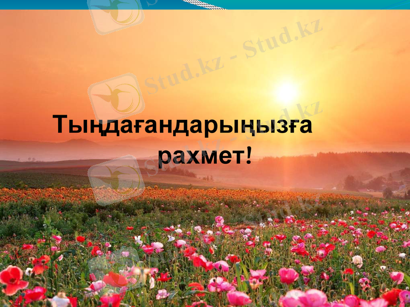 Slide 42