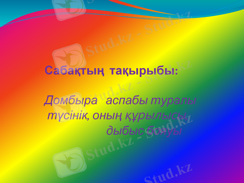 Slide 8