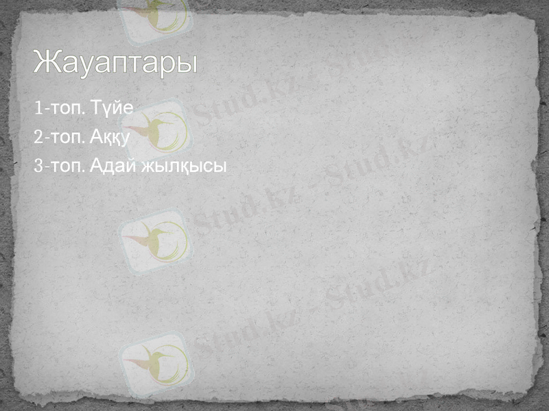 Slide 12