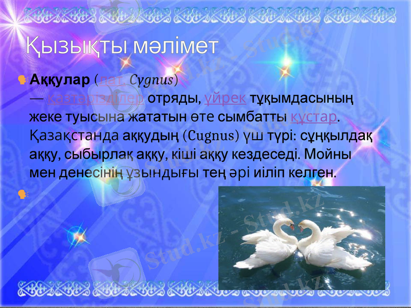 Slide 14