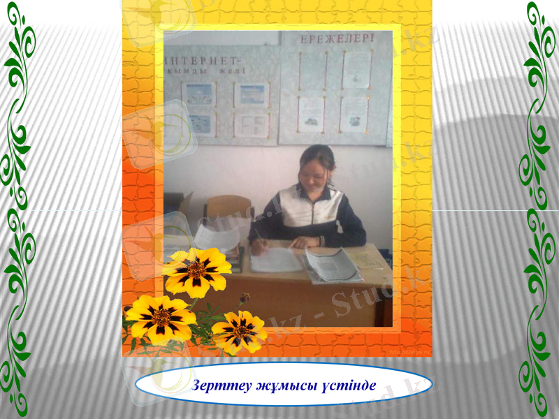 Slide 5