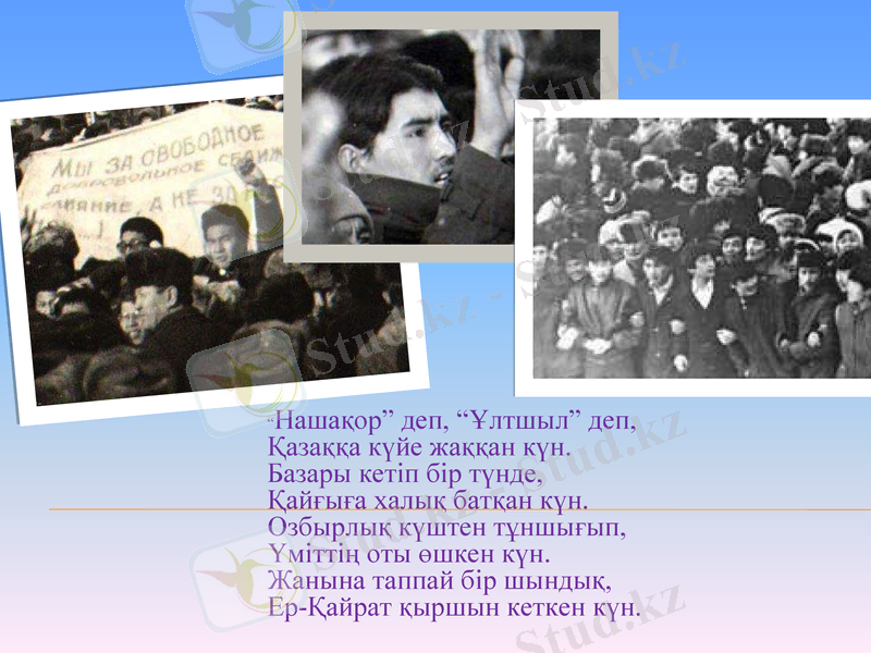 Slide 12