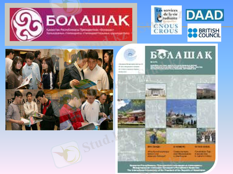 Slide 23