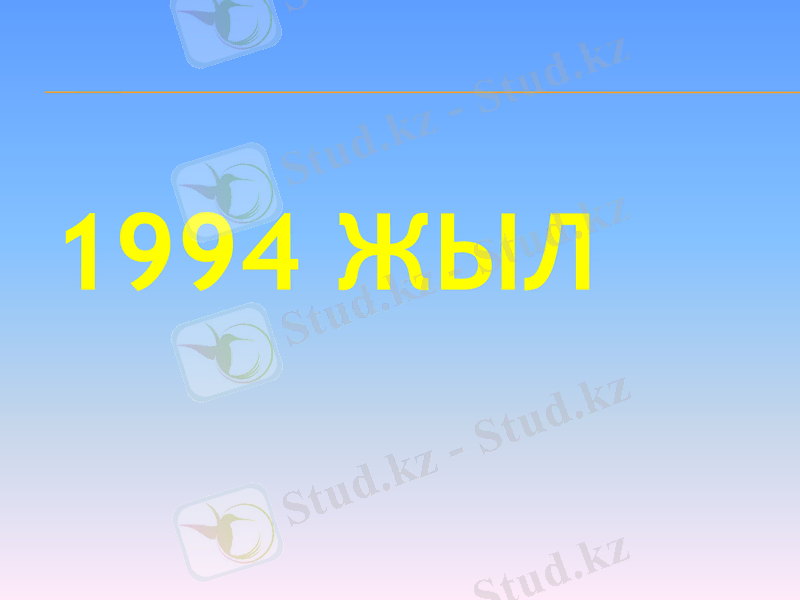 Slide 24