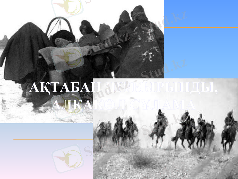 Slide 7