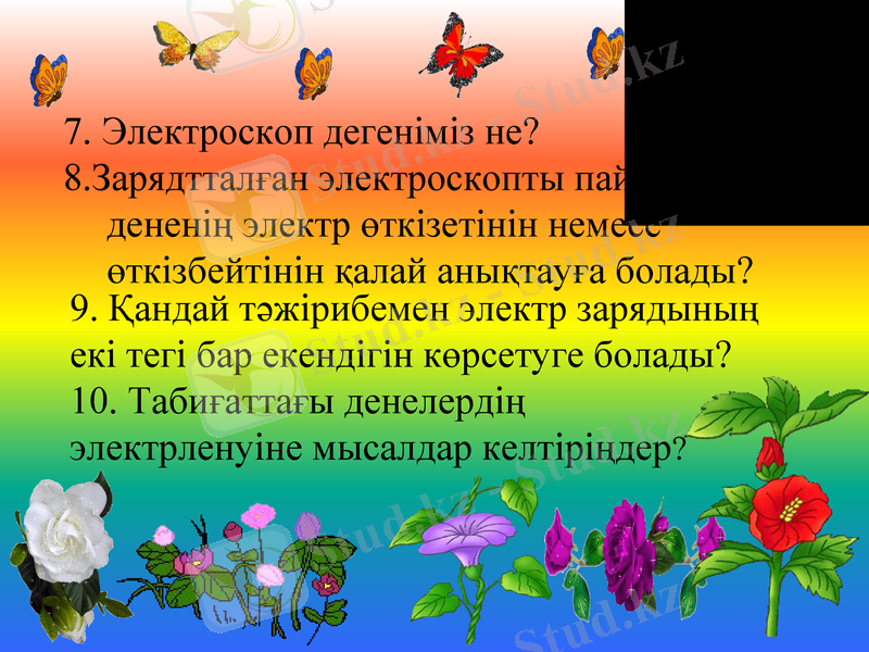 Slide 5