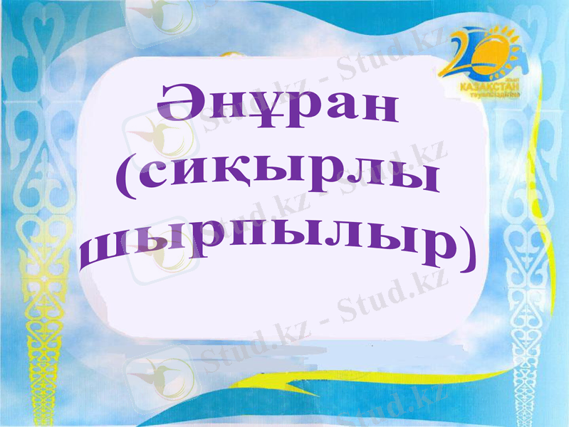 Slide 13