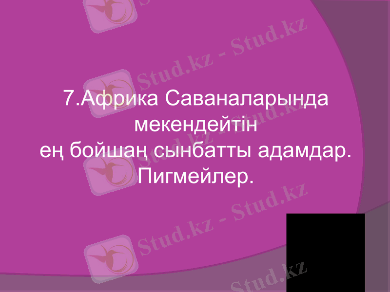 Slide 17