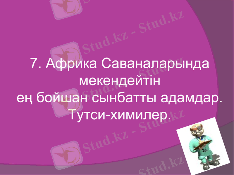 Slide 37