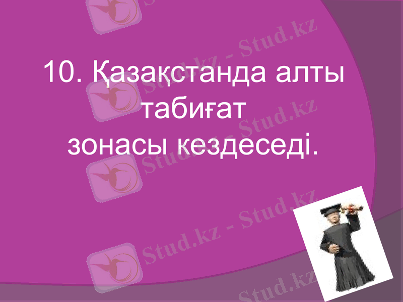 Slide 43