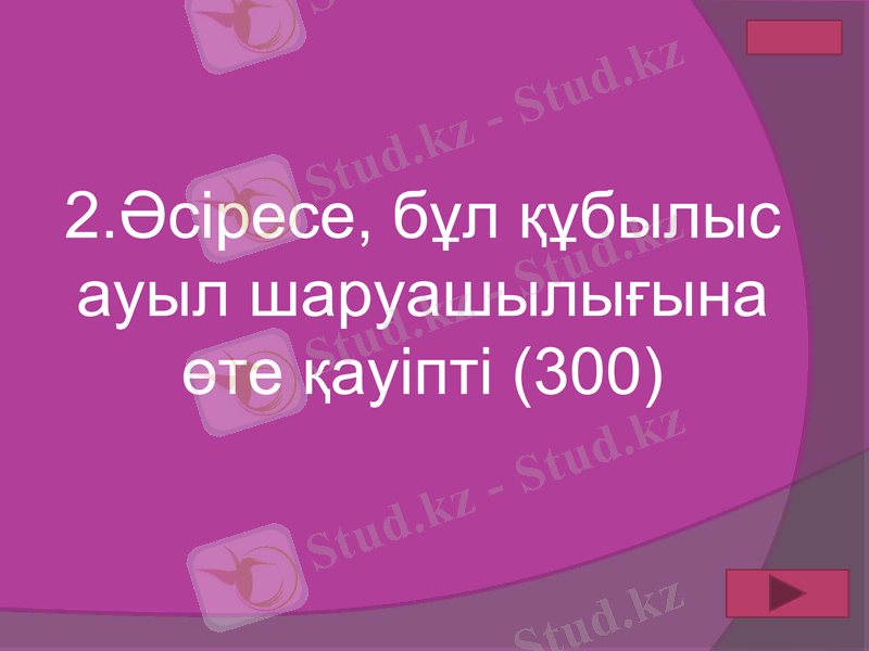 Slide 49