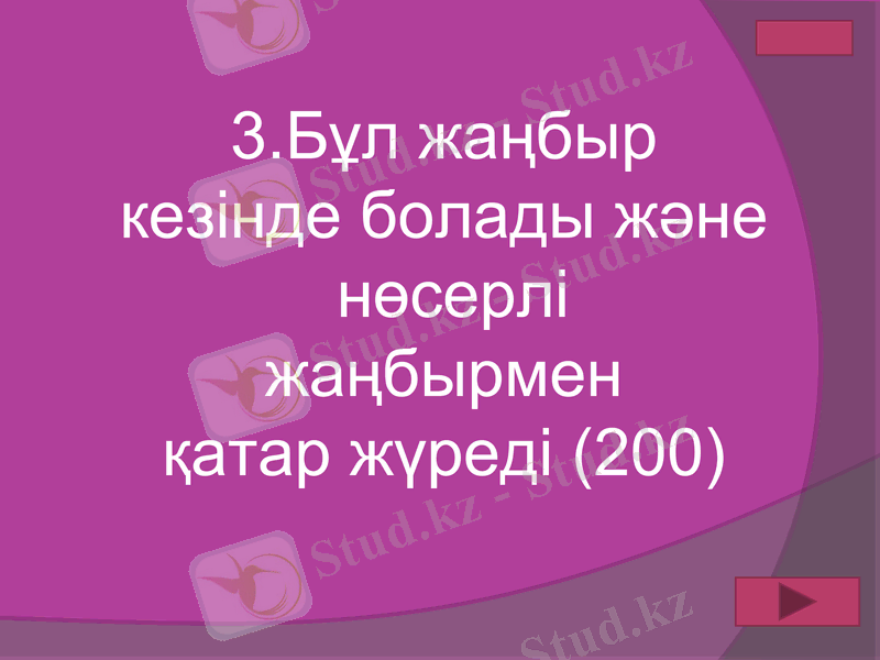 Slide 50