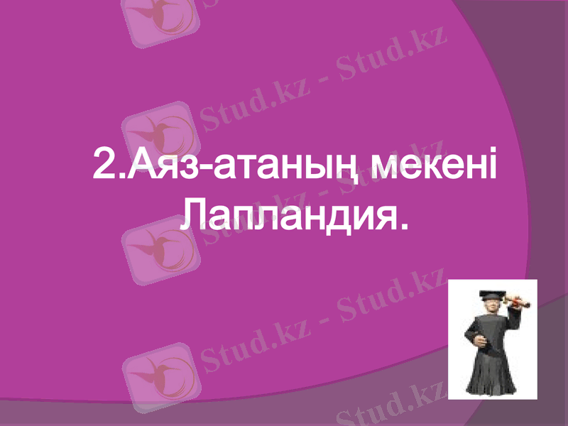 Slide 7