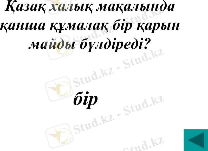 Slide 6