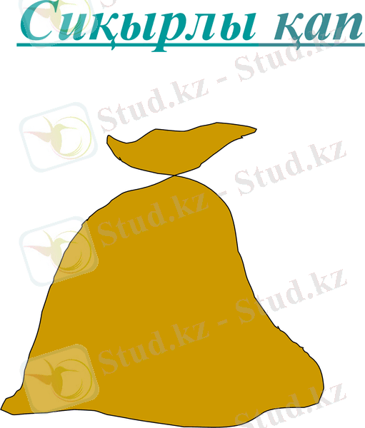 Slide 8