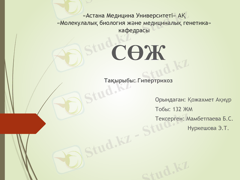Slide 1
