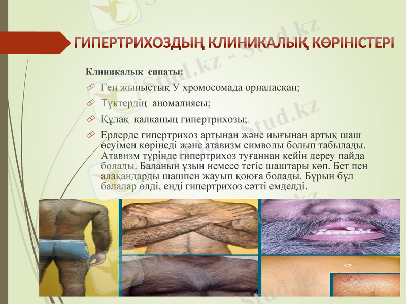 Slide 6