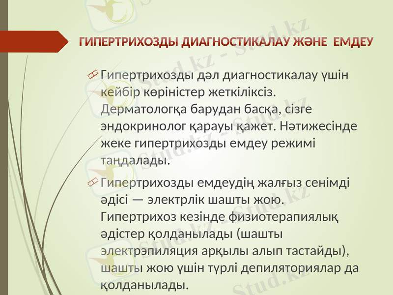 Slide 8