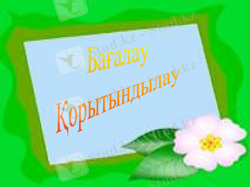 Slide 19