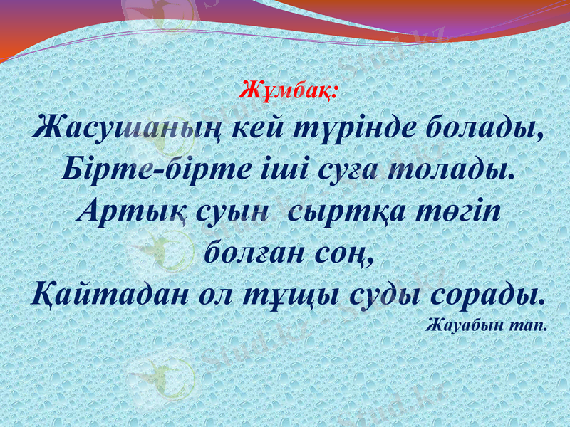 Slide 10