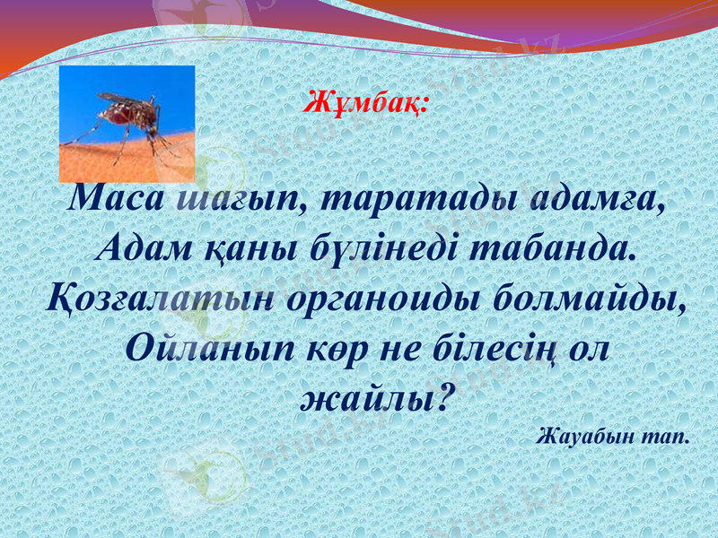 Slide 12