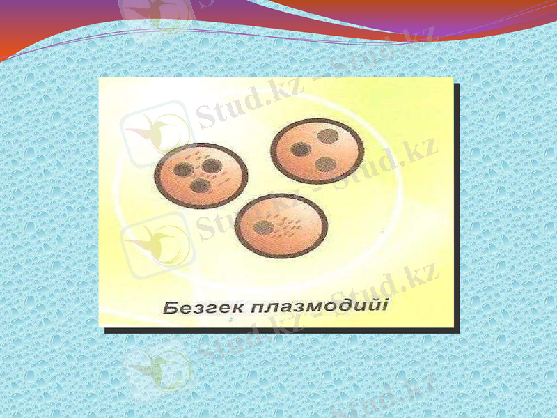 Slide 13