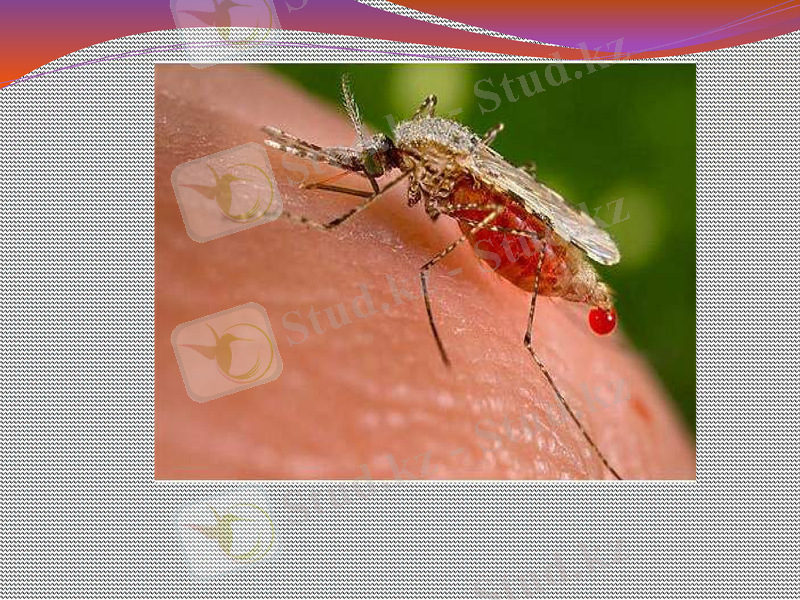 Slide 14