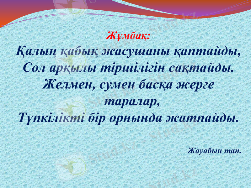 Slide 15