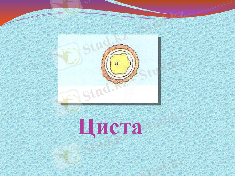 Slide 16