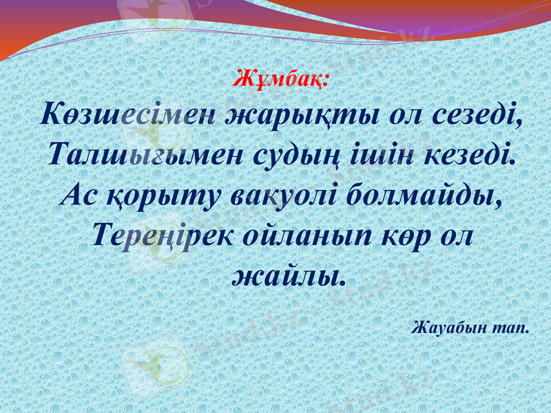 Slide 17