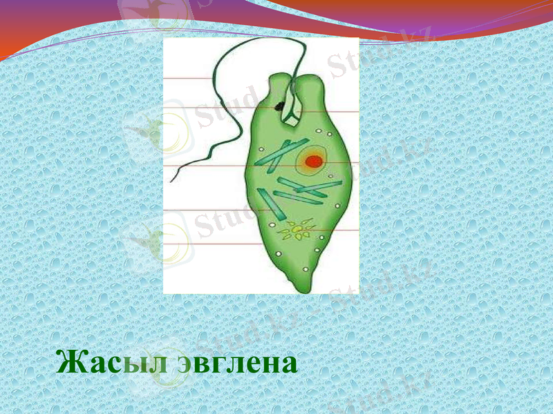 Slide 18