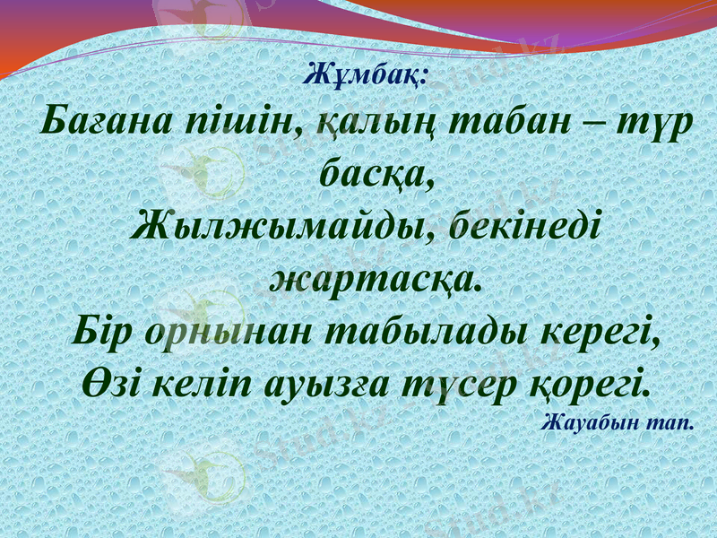Slide 19
