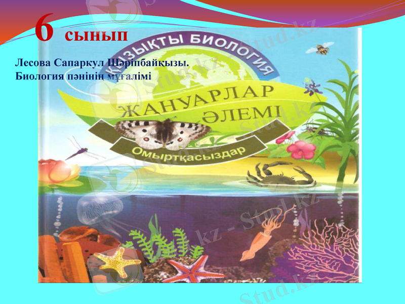 Slide 2