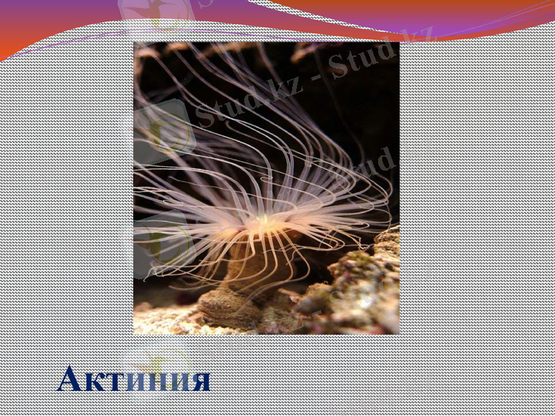 Slide 20