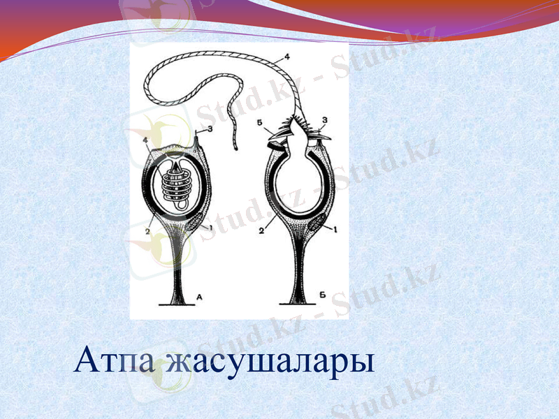 Slide 22