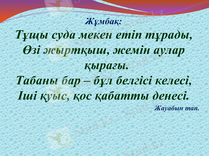 Slide 23
