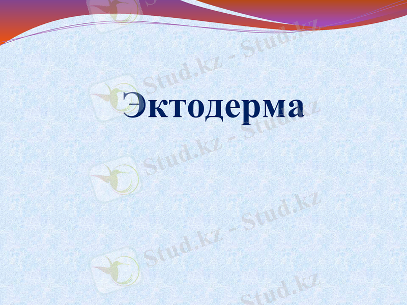 Slide 26