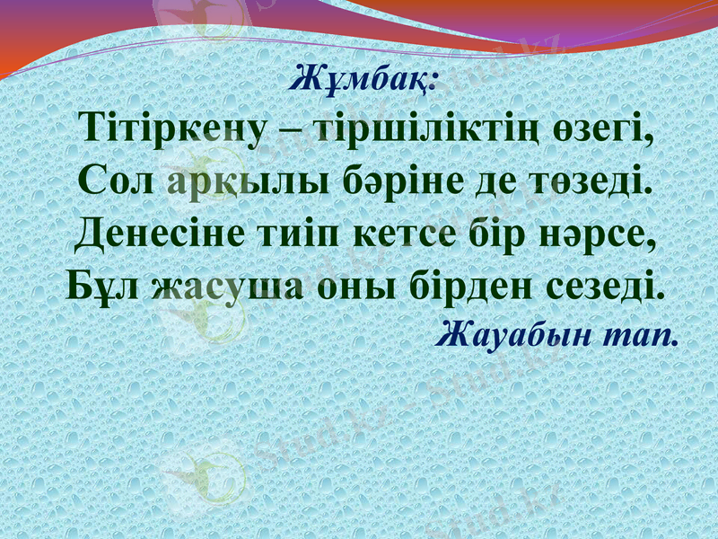 Slide 27