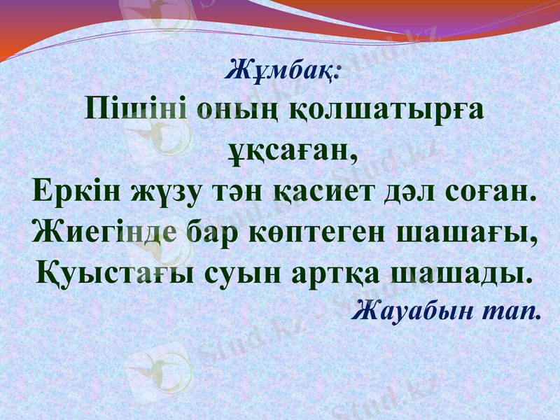 Slide 29
