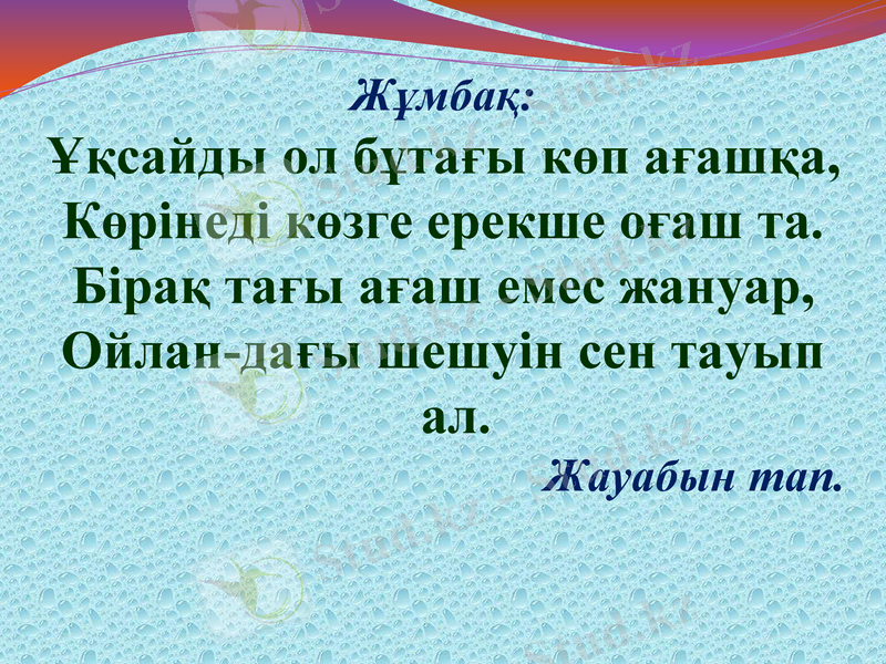 Slide 31