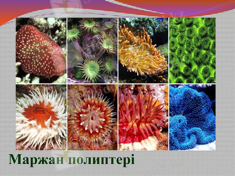 Slide 32