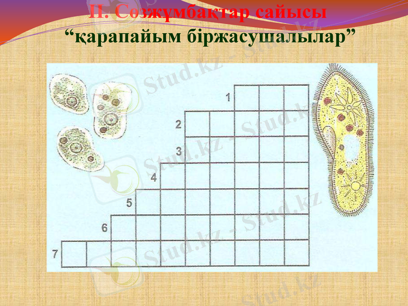 Slide 34