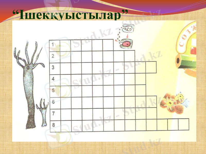 Slide 35