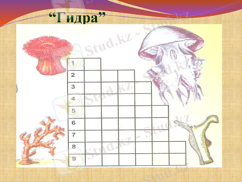 Slide 36