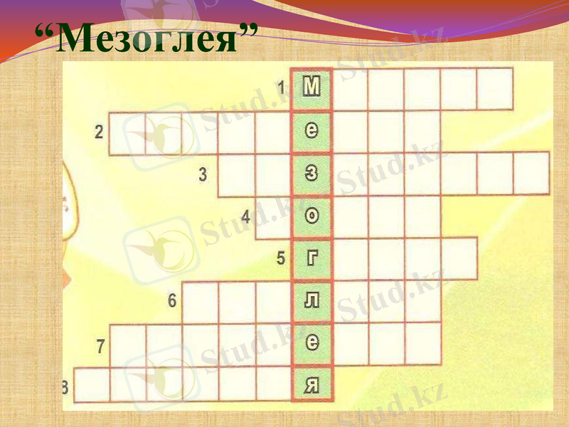 Slide 37