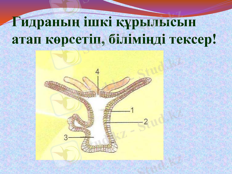 Slide 40