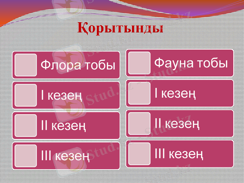 Slide 41